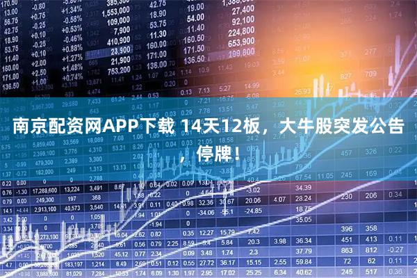 南京配资网APP下载 14天12板，大牛股突发公告，停牌！